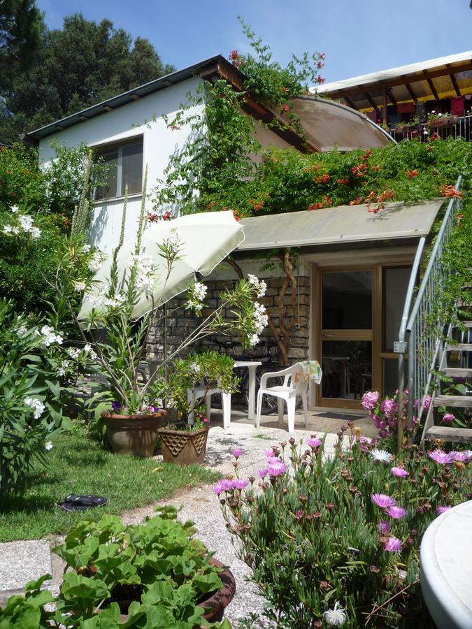 Casa Furrer Aparthotel Tirrenia Buitenkant foto
